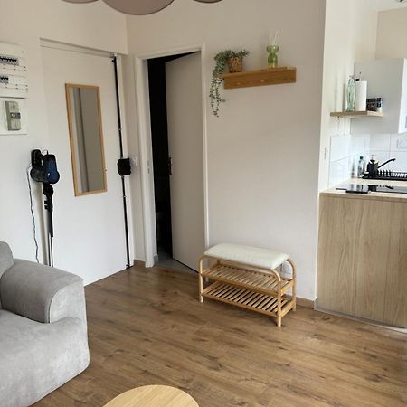 Appartement Avec Une Chambre Lyon Kültér fotó