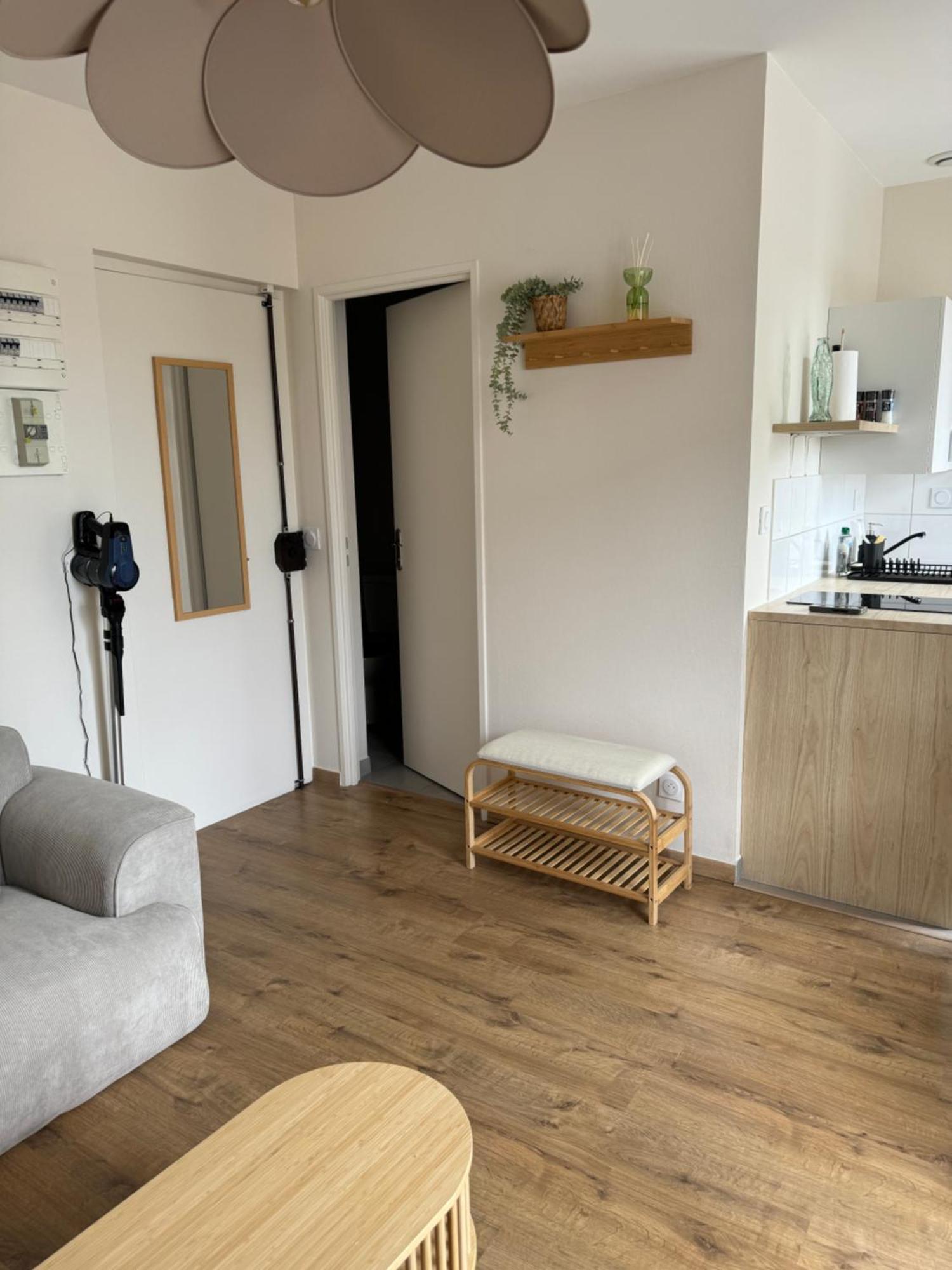 Appartement Avec Une Chambre Lyon Kültér fotó